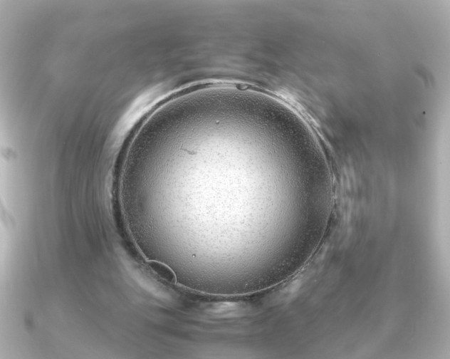 X0000090960151200708091400