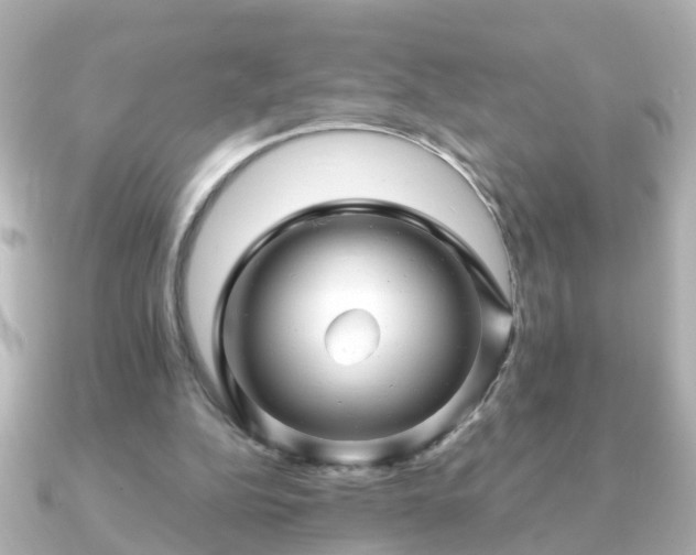 X0000090960152200708091400