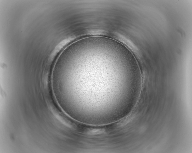 X0000090960155200708091400