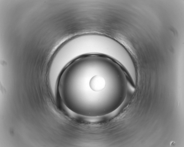X0000090960156200708091401
