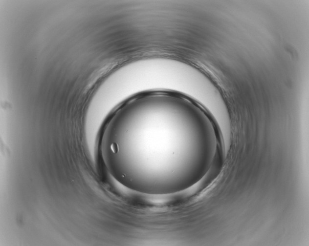 X0000090960158200708091401