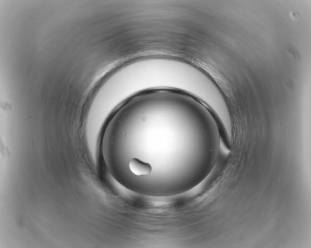 X0000090960160200708091401