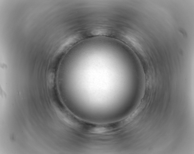 X0000090960171200708091401
