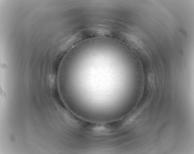 X0000090960177200708091401