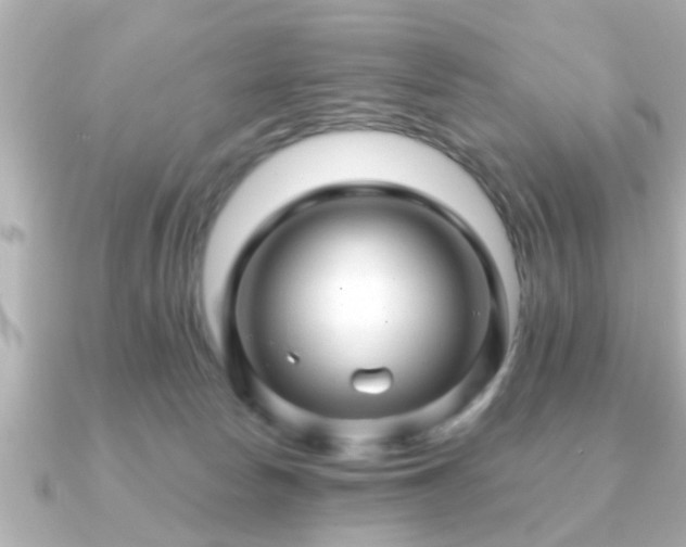 X0000090960178200708091401