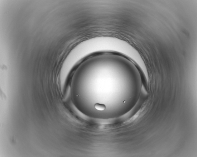 X0000090960188200708091401
