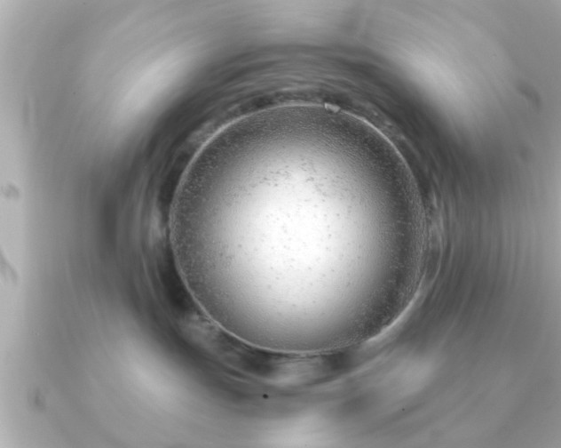 X0000090960191200708091401