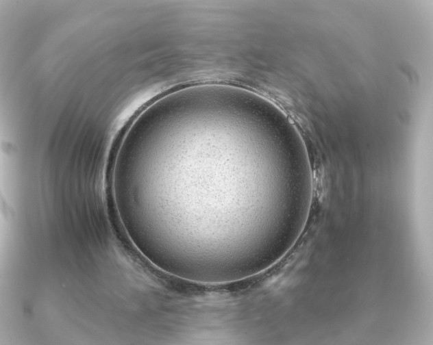 X0000090960196200708091400