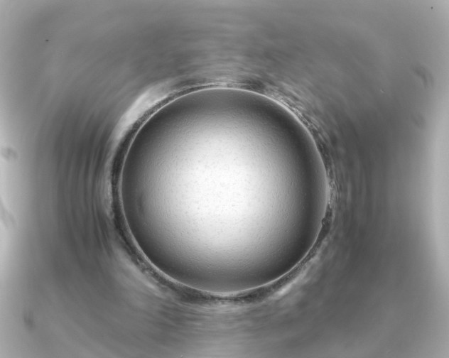 X0000090960198200708091400