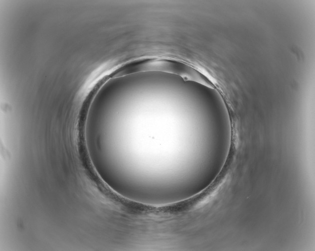 X0000090960199200708091400