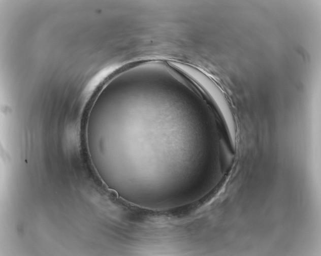 X0000090960200200708091400
