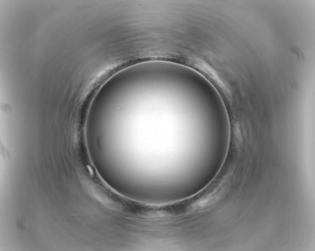 X0000090960203200708091400