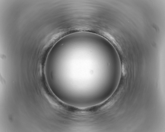 X0000090960205200708091400