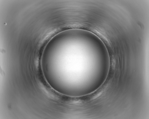 X0000090960206200708091400