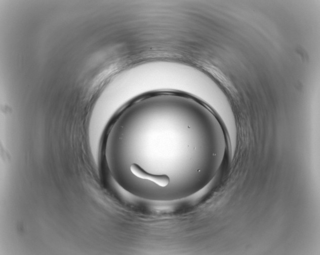 X0000090960207200708091400