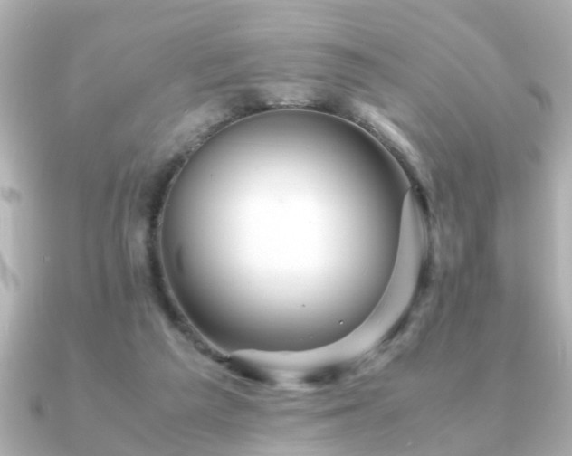 X0000090960209200708091400