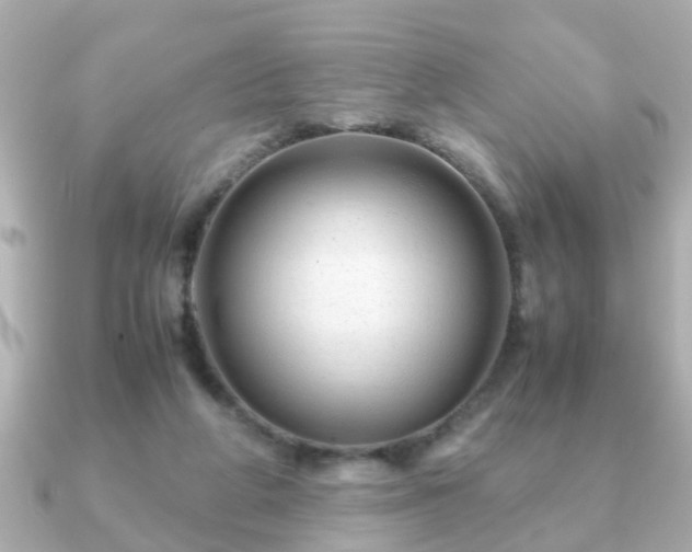 X0000090960210200708091400