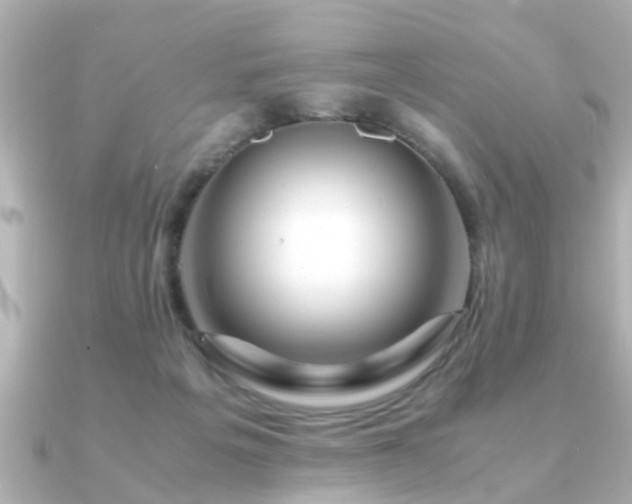 X0000090960217200708091400