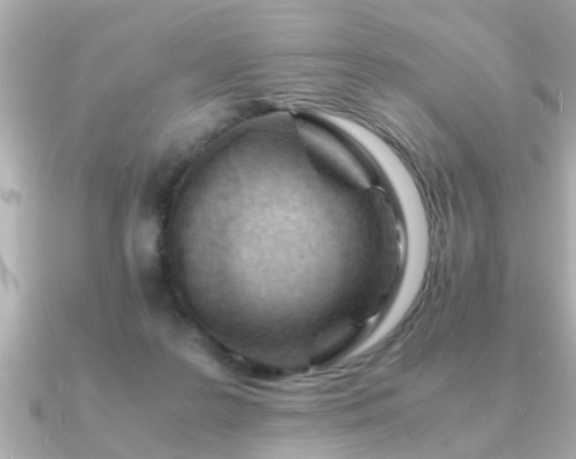 X0000090960219200708091400
