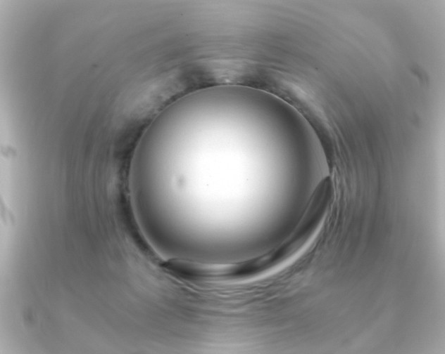 X0000090960221200708091400