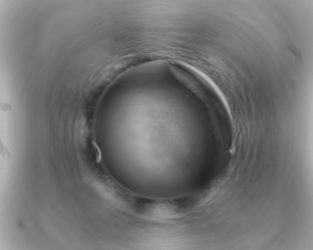 X0000090960223200708091400