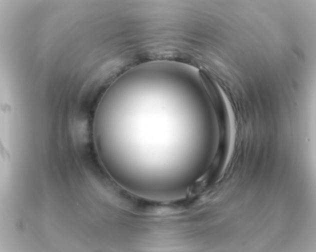X0000090960224200708091400