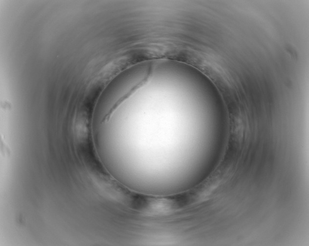 X0000090960226200708091400
