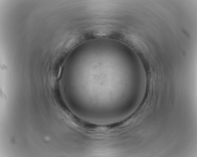 X0000090960227200708091400