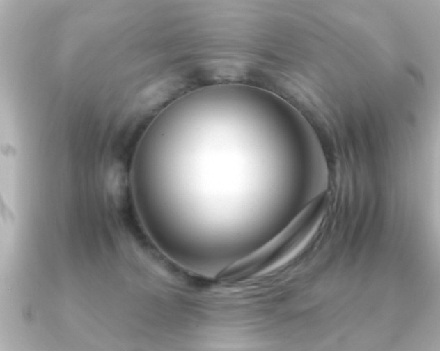 X0000090960228200708091400
