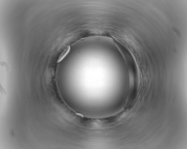 X0000090960229200708091400