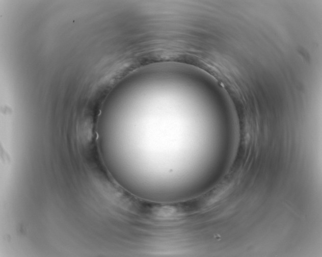 X0000090960230200708091400