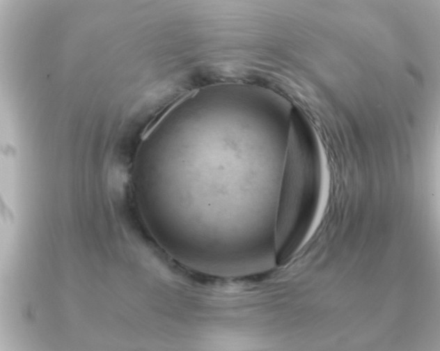 X0000090960235200708091400