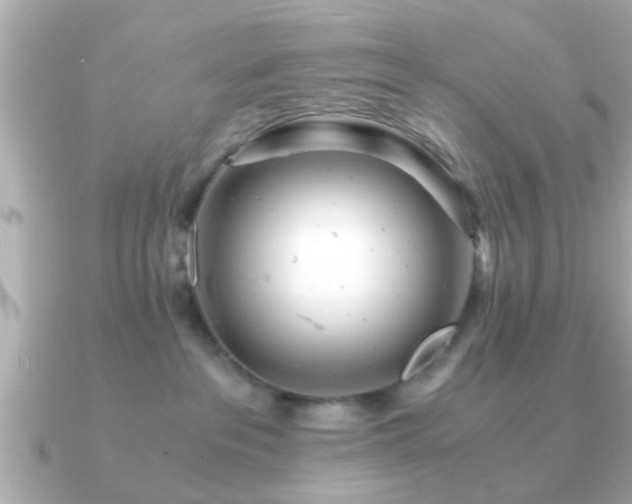 X0000090960237200708091400