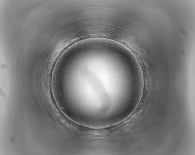 X0000090960241200708091359