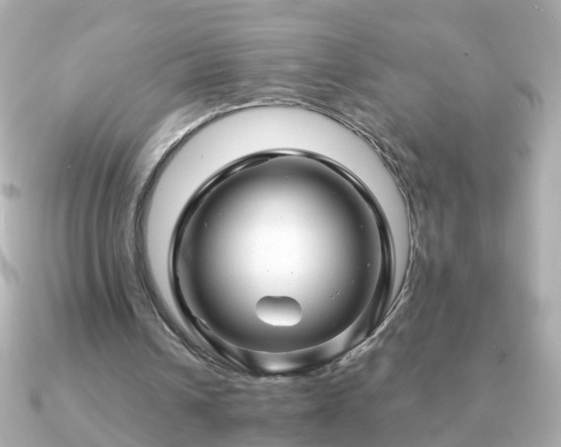 X0000090960242200708091359