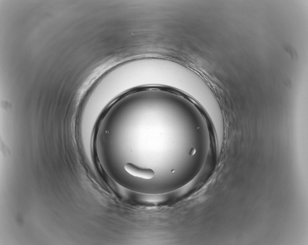 X0000090960244200708091359