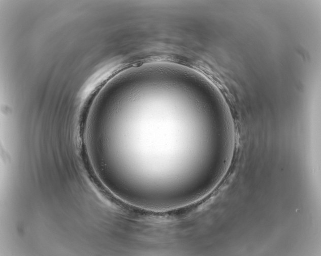 X0000090960245200708091359