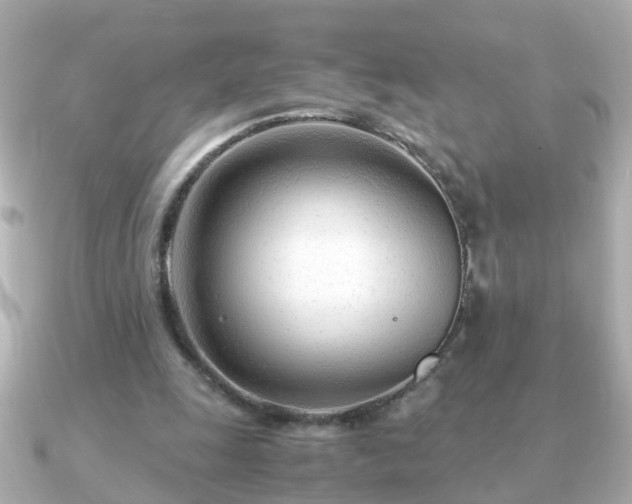 X0000090960247200708091359