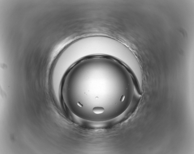 X0000090960248200708091359