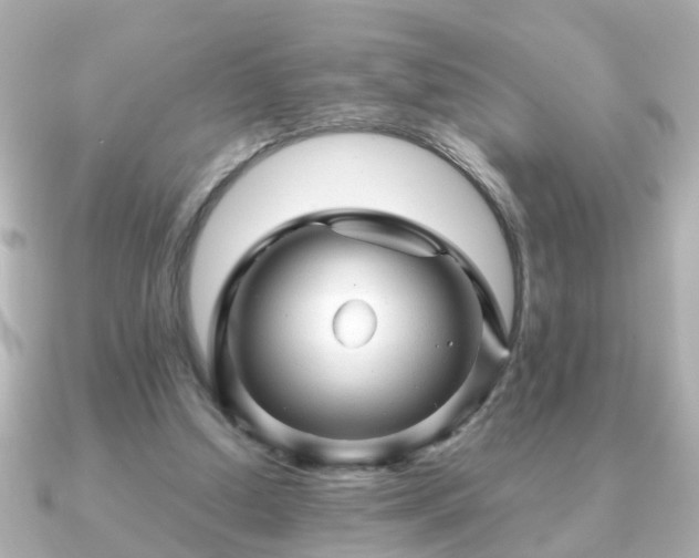 X0000090960250200708091359