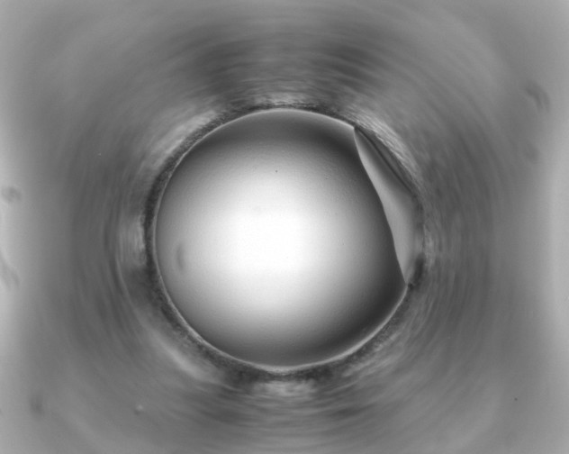 X0000090960251200708091359
