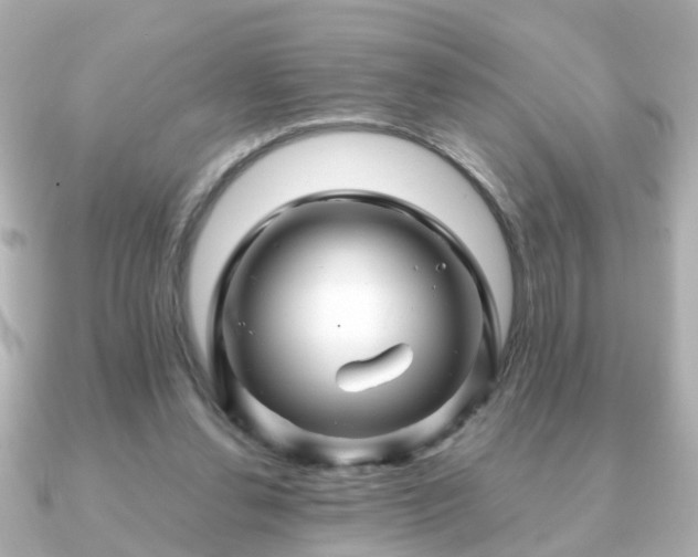 X0000090960252200708091359