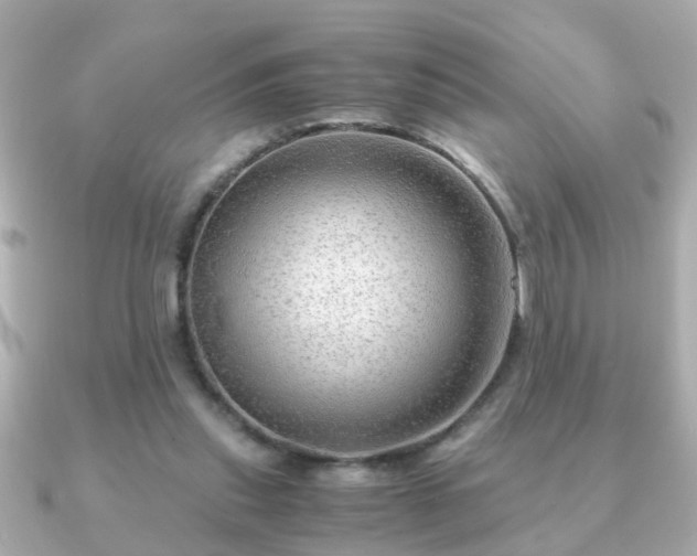 X0000090960253200708091359