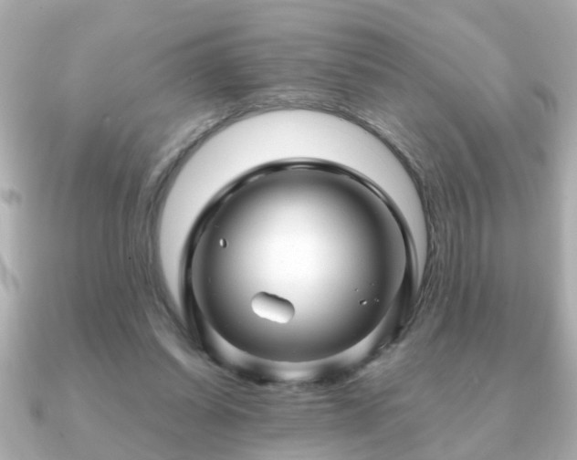 X0000090960254200708091359