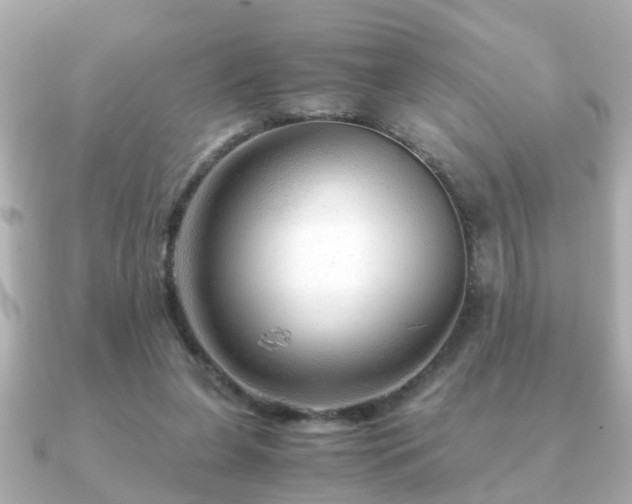 X0000090960255200708091359