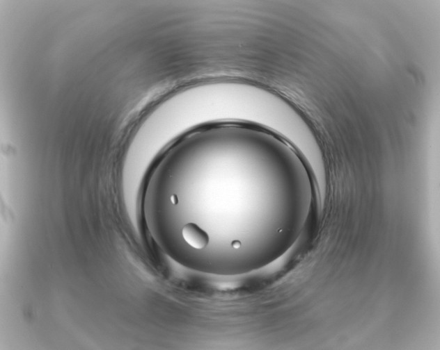 X0000090960256200708091359