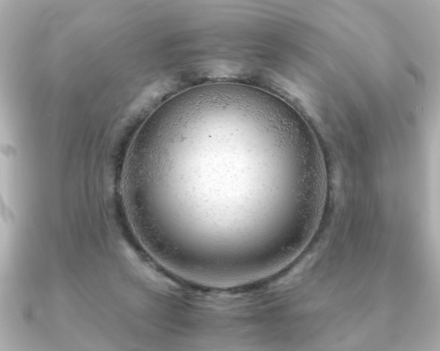 X0000090960257200708091359