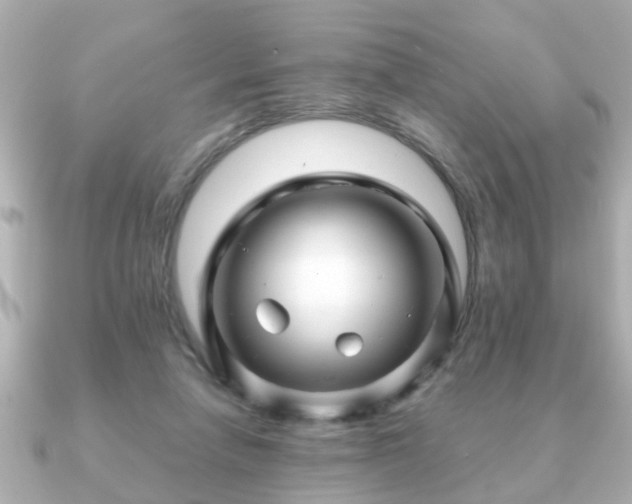 X0000090960258200708091359