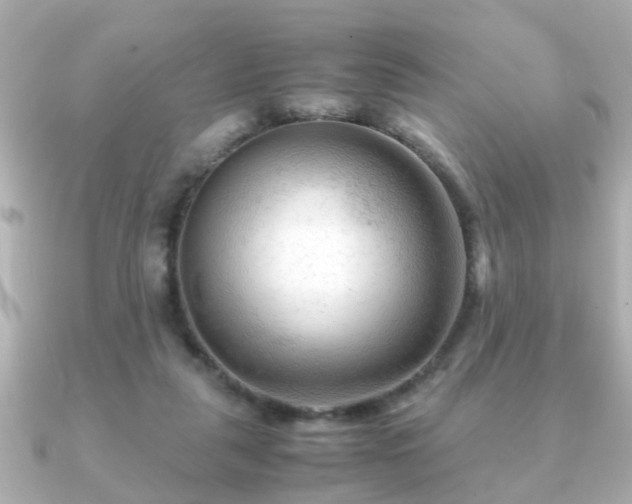 X0000090960259200708091359
