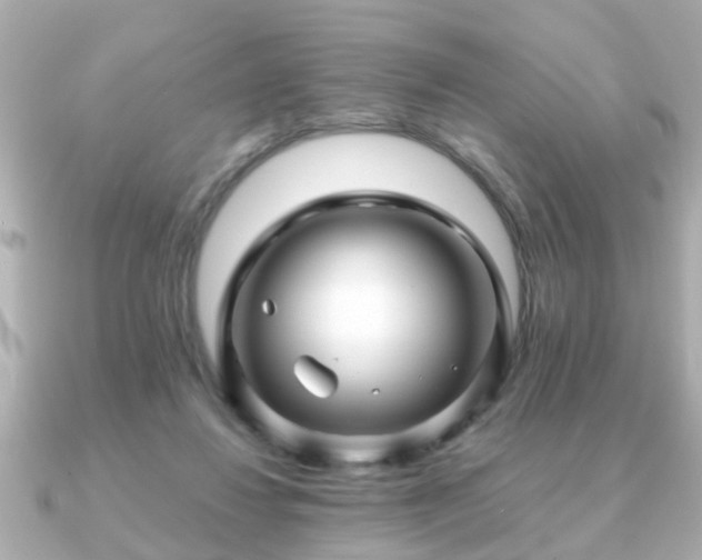 X0000090960260200708091359
